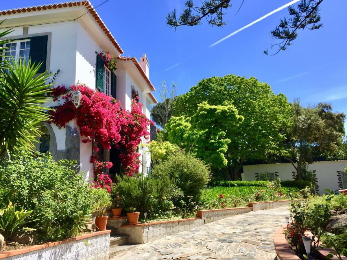 Cascais Seaside Garden Villa מראה חיצוני תמונה